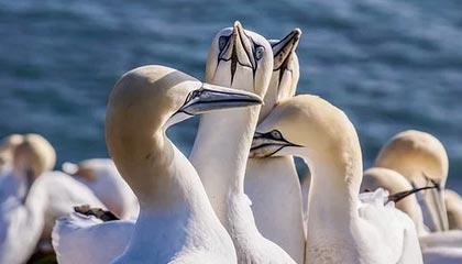 安卓下载-开云体育下载：畅享极致体育体验